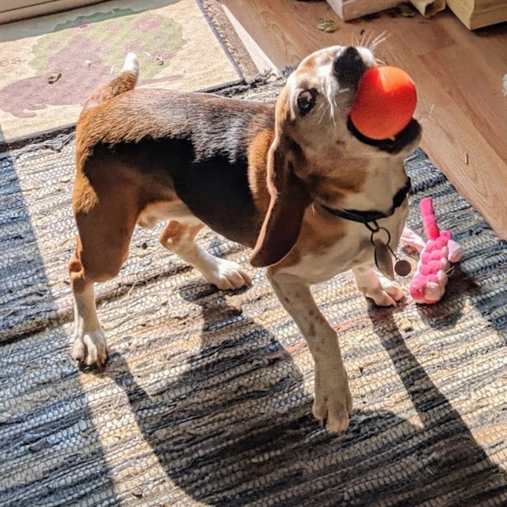 Meet your Posher, Katharine